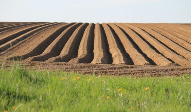Comparto agricolo in sofferenza, iniezione di liquidità per 103 aziende in Brianza