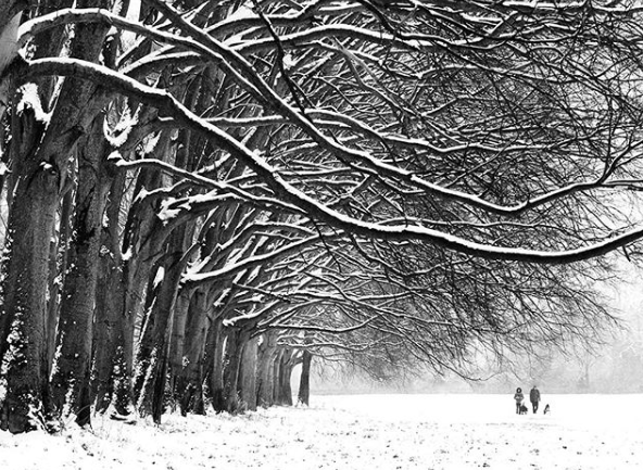 Neve in Brianza: le foto più belle su Instagram