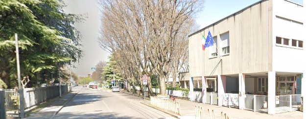Gatto investito e ucciso  davanti a scuola