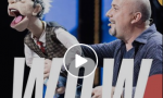 Italia's Got Talent 2020: il primo finalista è l'Ornaghese Andrea Fratellini VIDEO
