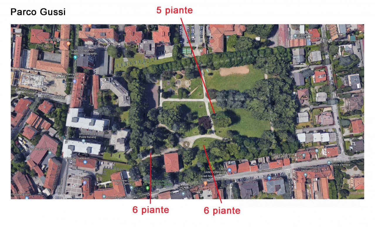 Nuove piante a Vimercate: al via la piantumazione di 44 gelsi