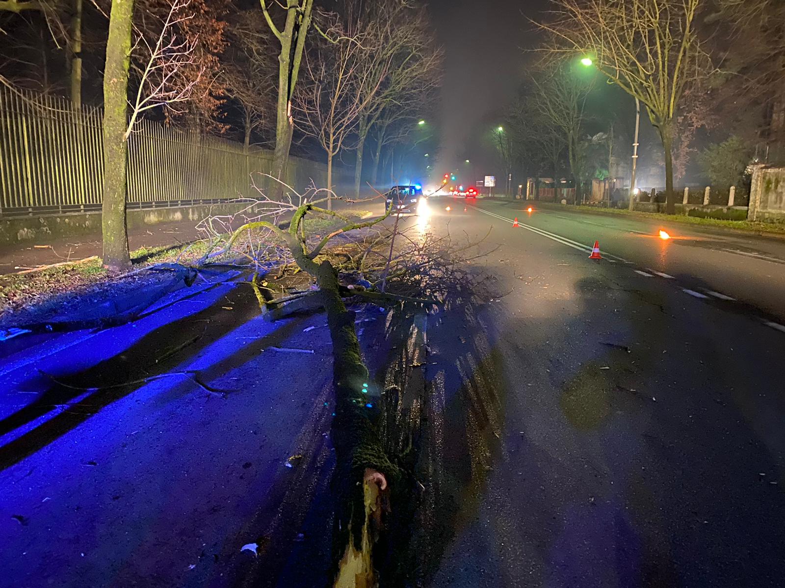 camion contro albero (2)