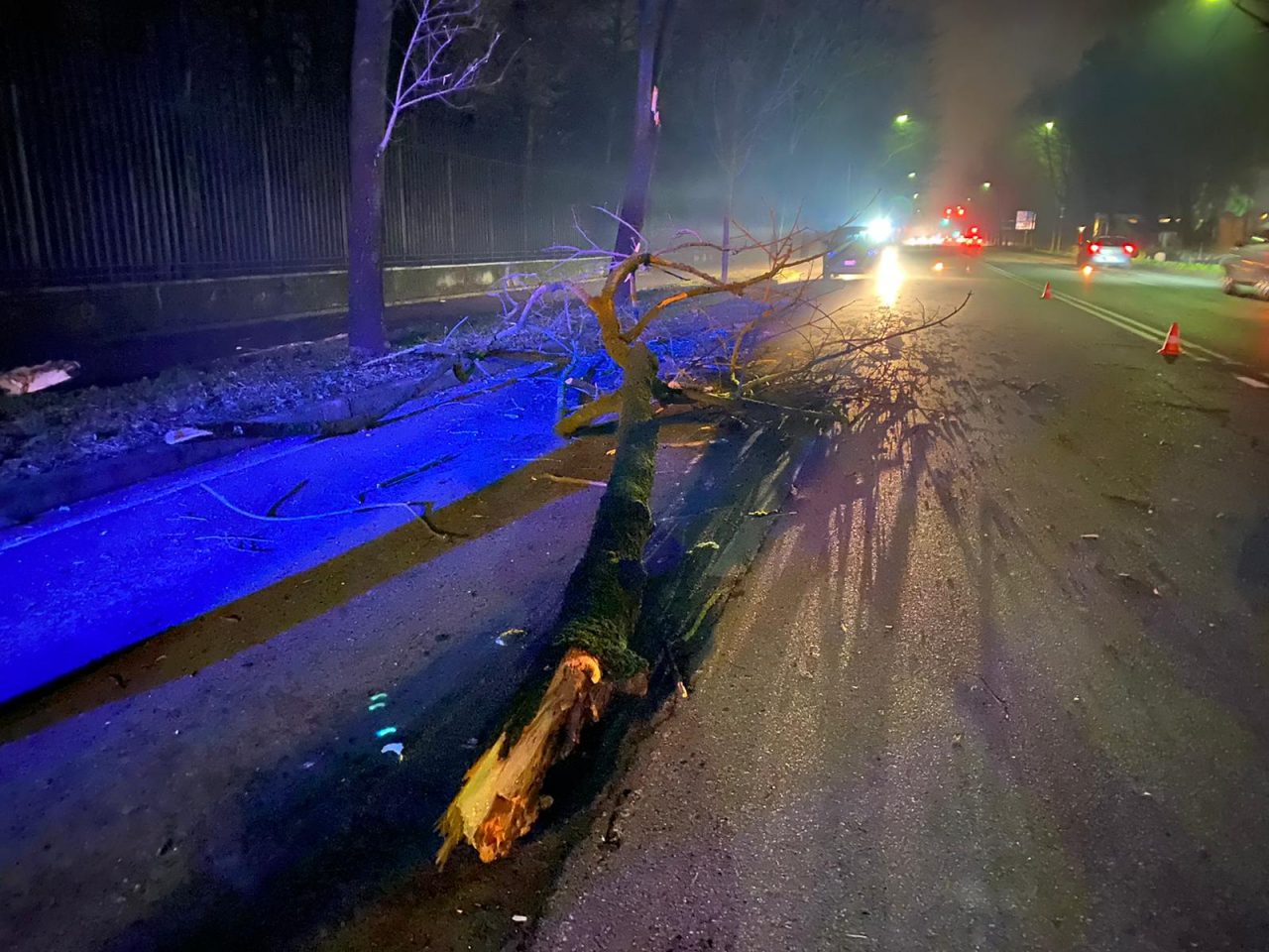 Camion contro albero, intervengono i Vigili del fuoco