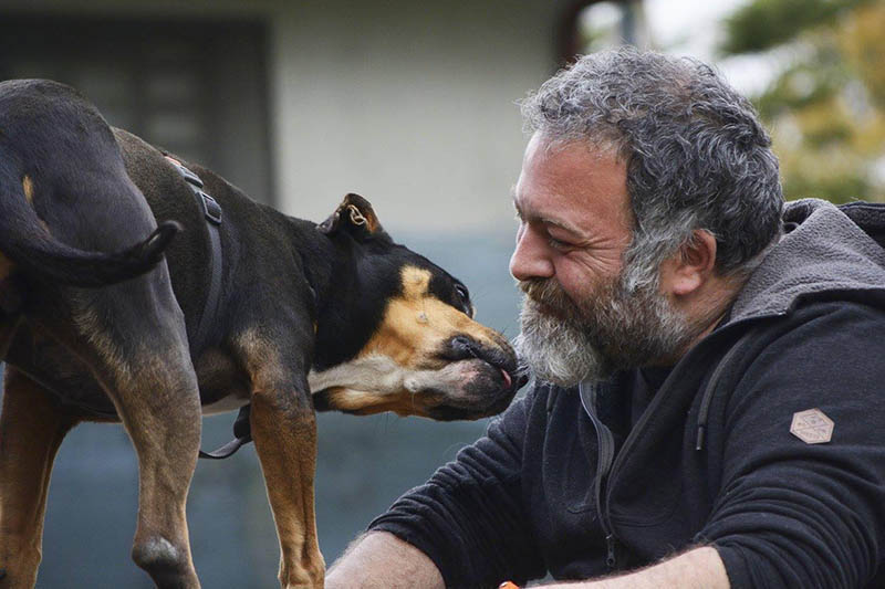 L’Enpa organizza un ciclo di conferenze sul mondo cinofilo