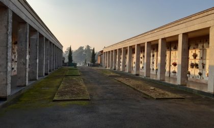 Cimitero di Vimercate: 21 nuovi cipressi