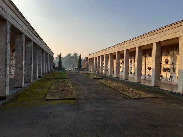 Cimitero di Vimercate: 21 nuovi cipressi