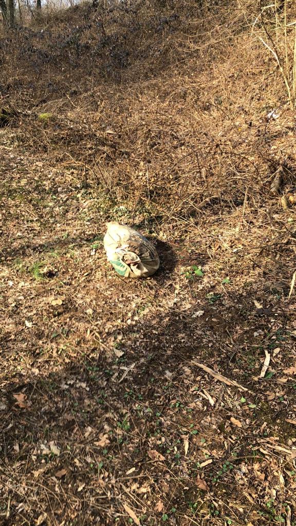 Giallo ad Arcore, carcasse di cani ritrovati al Laghettone