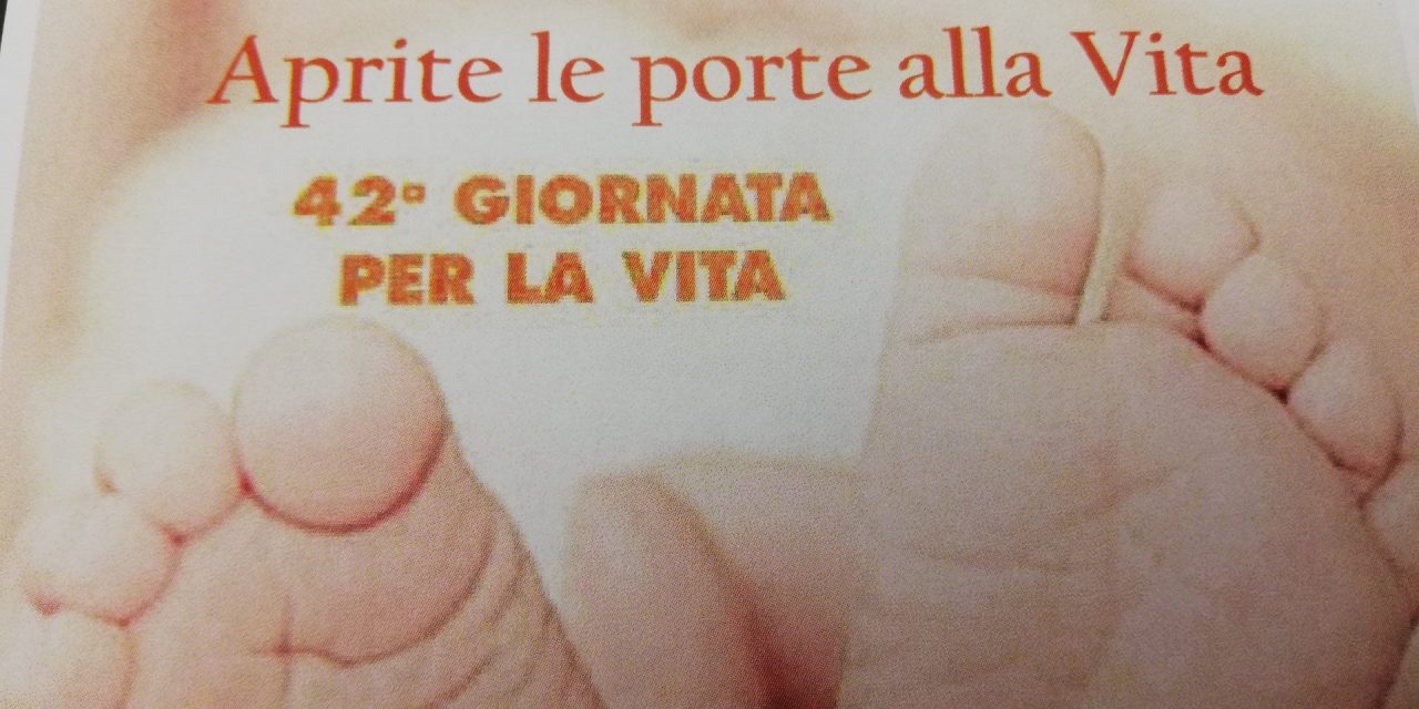 La vera accoglienza con la 42° giornata della vita