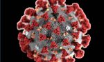 Coronavirus in Lombardia: sale a 14 il numero dei contagiati. Nove paesi in isolamento
