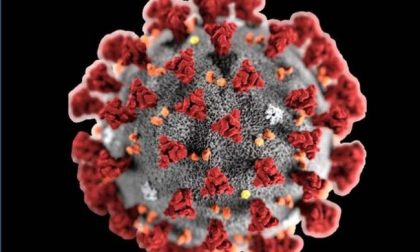 Coronavirus: contagi in aumento per la seconda settimana consecutiva I DATI COMUNE PER COMUNE