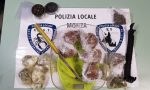 Blitz della Polizia locale: sequestrata droga