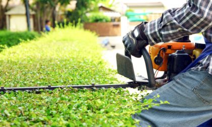 Come curare lo spazio verde di un condominio