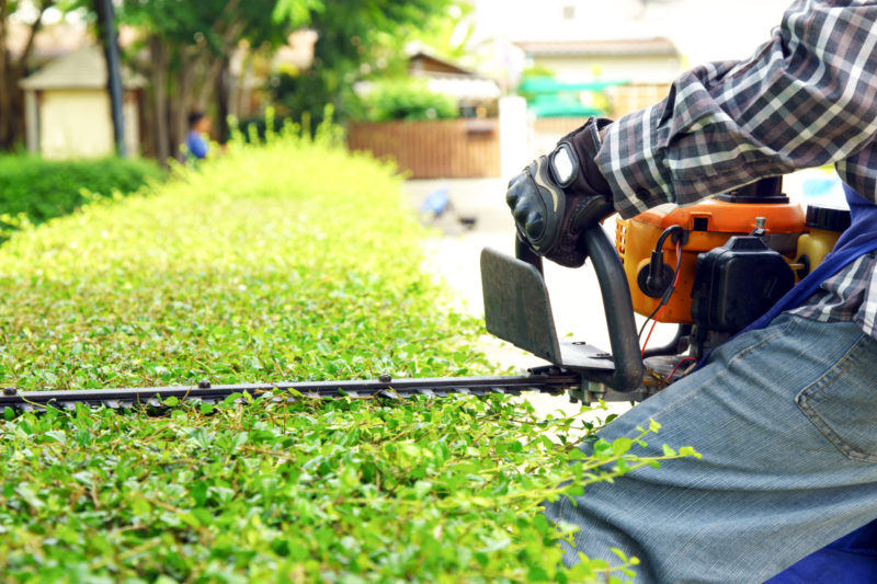 Al via i lavori di manutenzione del verde a Vimercate