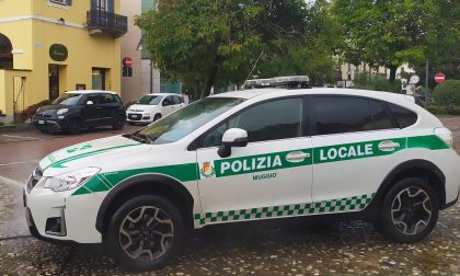 Una nuova termocamera per scovare i balordi anche al buio