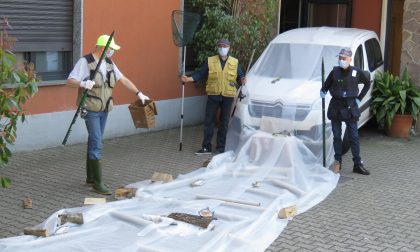 Torneo di pesca molto alternativo a Giussano VIDEO