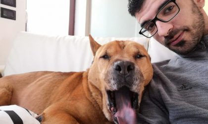 Toby adottato dopo quasi 5 anni nel rifugio di Monza