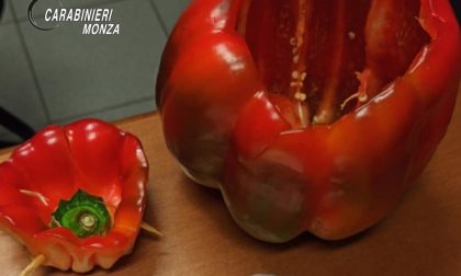 Droga nascosta in un peperone: arrestato fruttivendolo