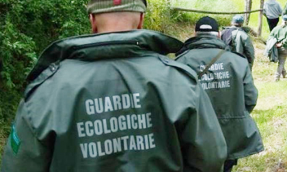 Due milioni di euro alle Guardie ecologiche volontarie
