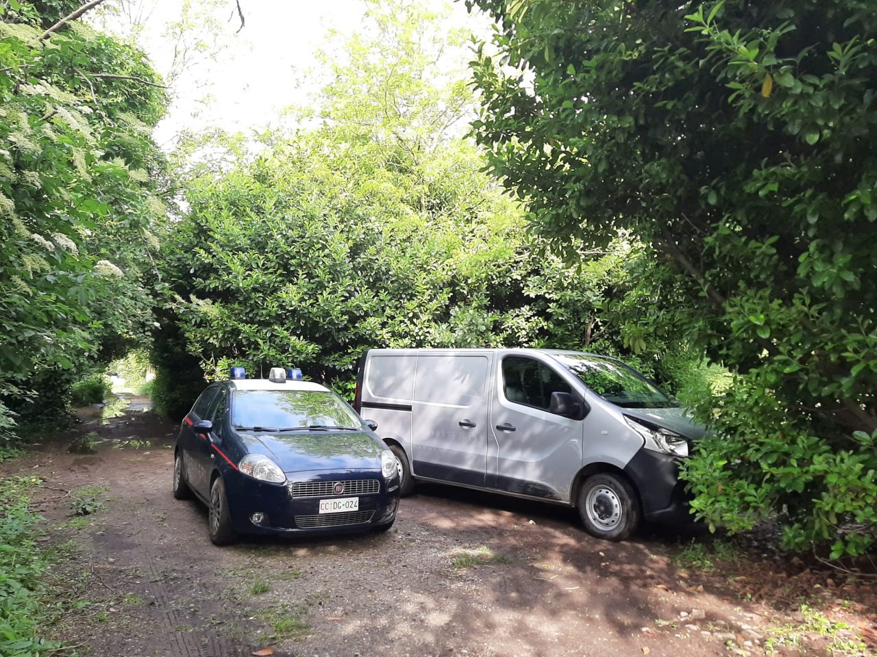 Ritrovato cadavere nel bosco