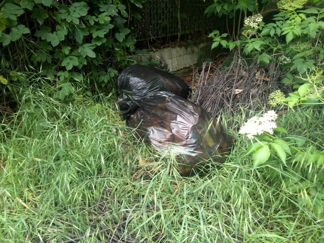 “C’è troppa gente in discarica”, abbandona i rifiuti in strada