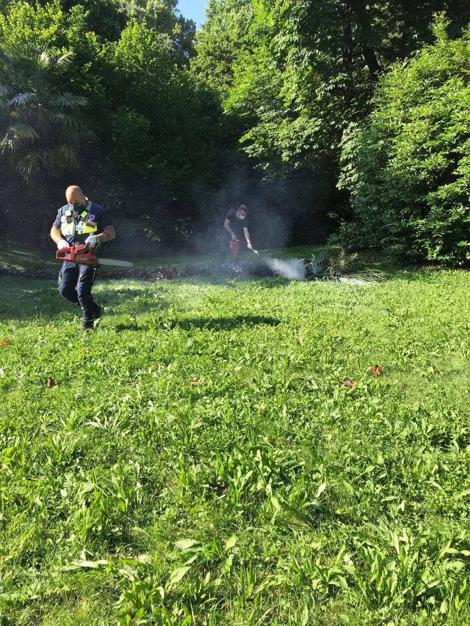 Palma in fiamme in Villa Borromeo, incendio domato dalla Protezione civile FOTO