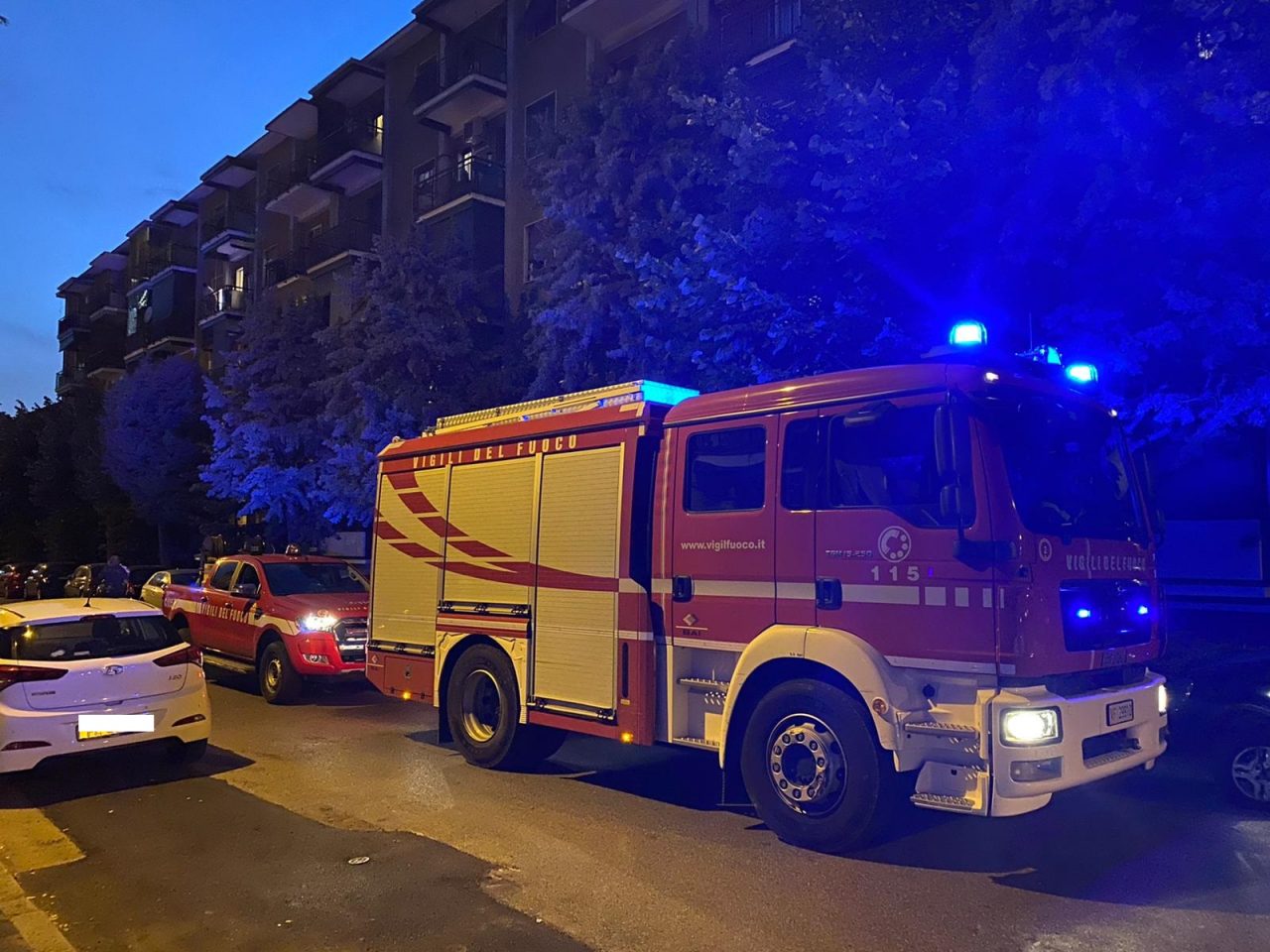 A fuoco un albero: incendio domato dai Vigili del fuoco – LE FOTO