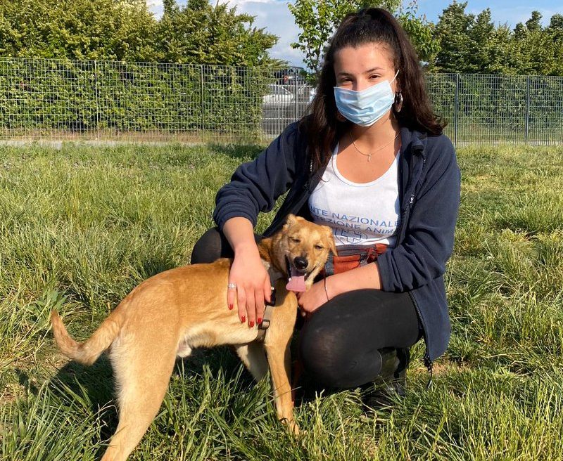 Cucciolo di cane tenuto chiuso in un armadio a Sovico, salvato dall’Enpa FOTO