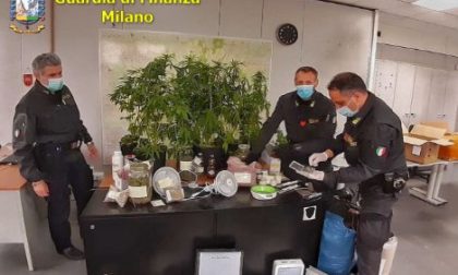Scoperto un laboratorio clandestino per la produzione di droga: lissonese arrestato