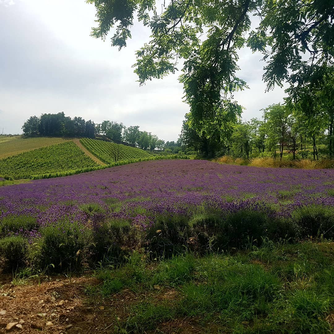 Un angolo di Provenza a poco più di un’ora d’auto