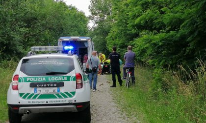 Paura a Cavenago: 43enne cade da una pianta, arriva l'elisoccorso - VIDEO
