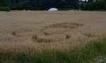 Spunta un pene nel campo di grano, imbarazzo a Calò