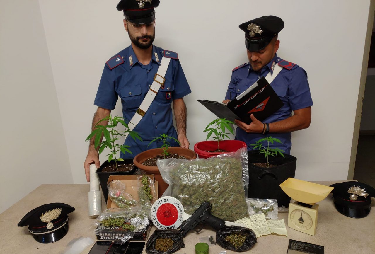 Droga, piantine di marijuana e pistola in casa, arrestato un 20enne a Meda
