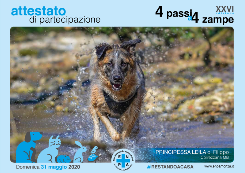 cane Principessa Leila-fb