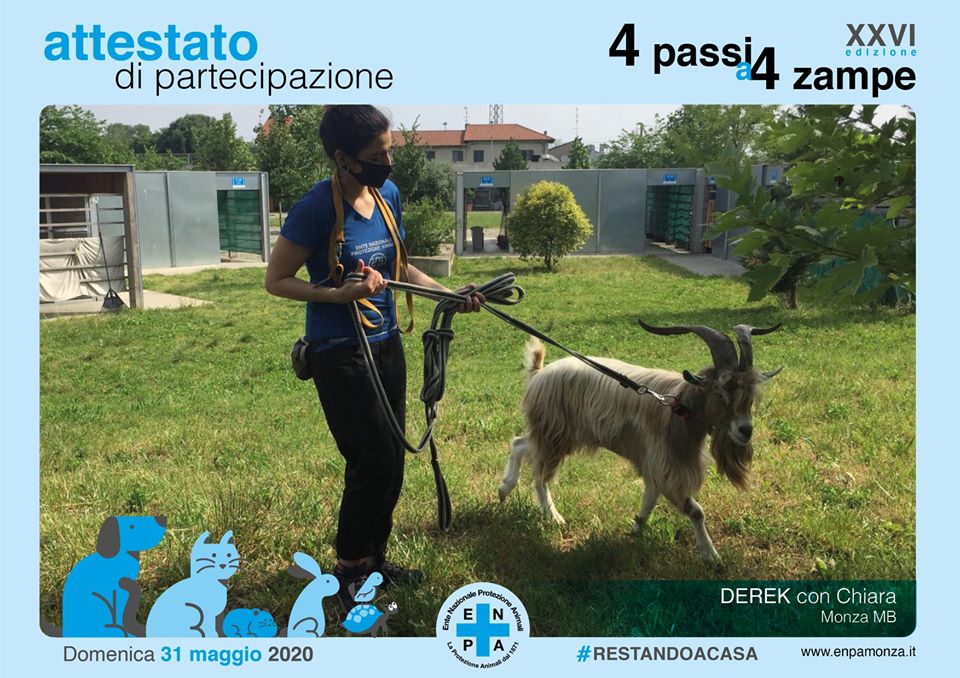 caprone DEREK del rifugio con Chiara