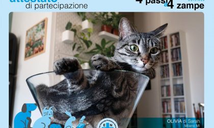 4 Passi a 4 Zampe 2020: grande successo per la camminata virtuale