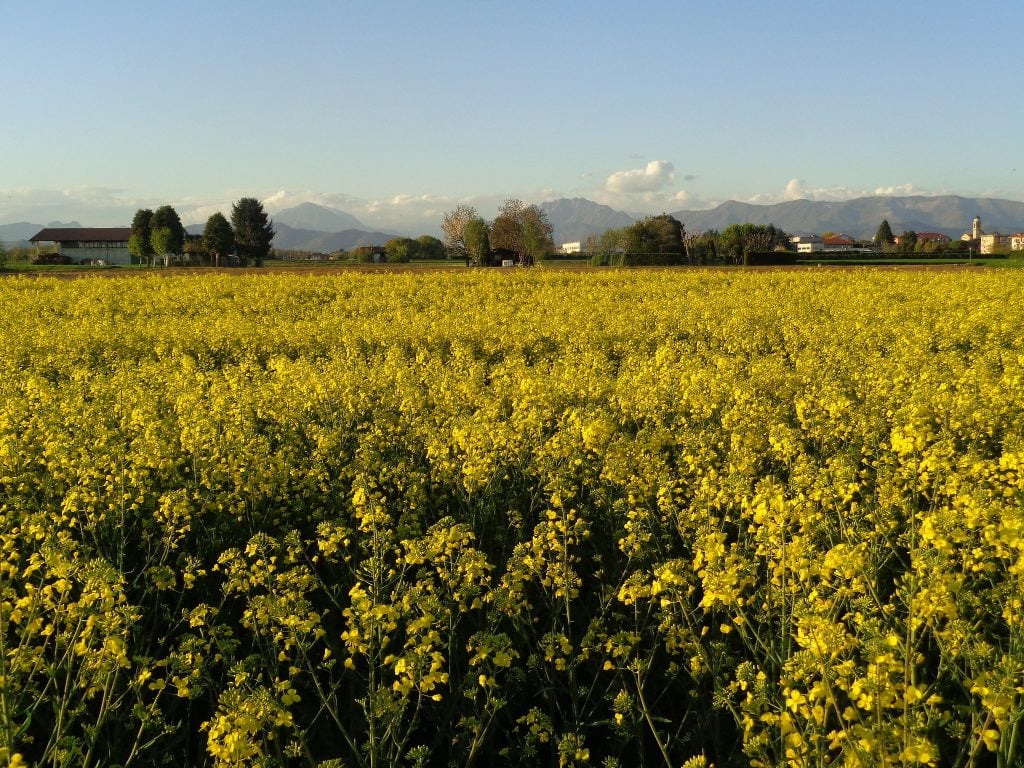 Un invito a rispettare la natura e le coltivazioni