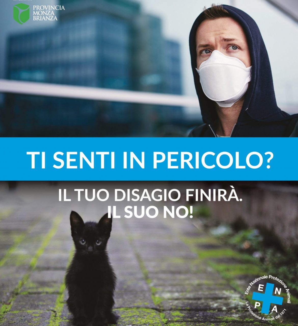 Desio aderisce alla campagna contro l’abbandono degli animali