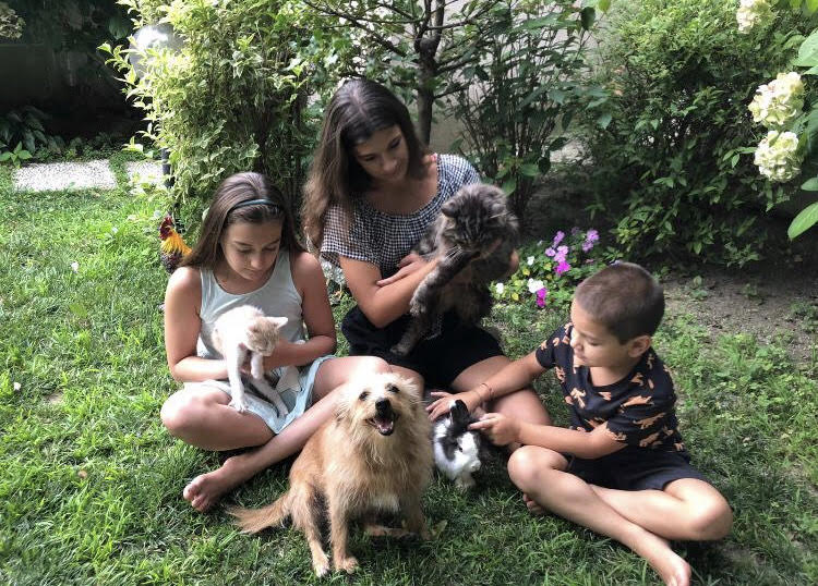 Simpatiche Zampette, ecco tutte le foto dei nostri  “amici” in gara
