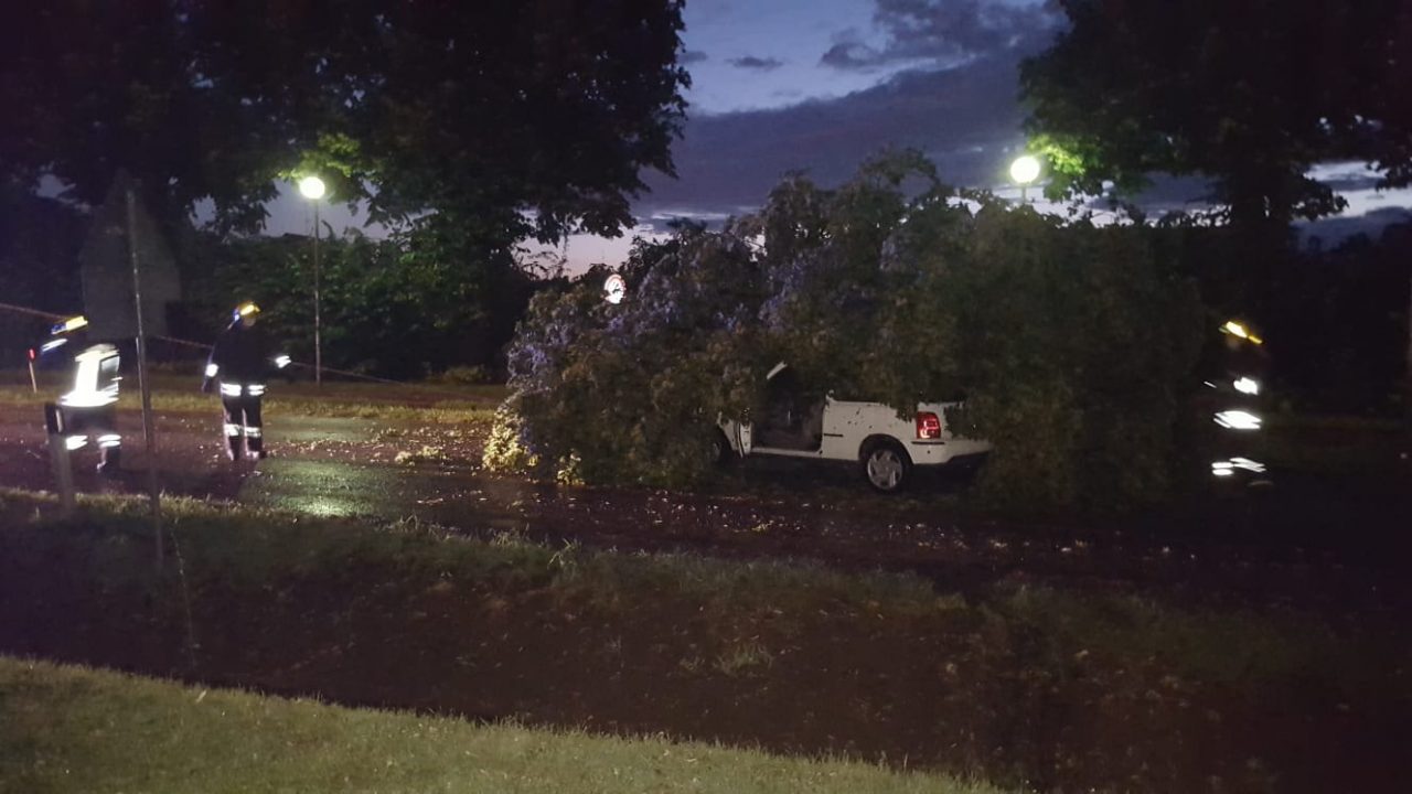 Grosso albero cade su un’automobile in corsa FOTO