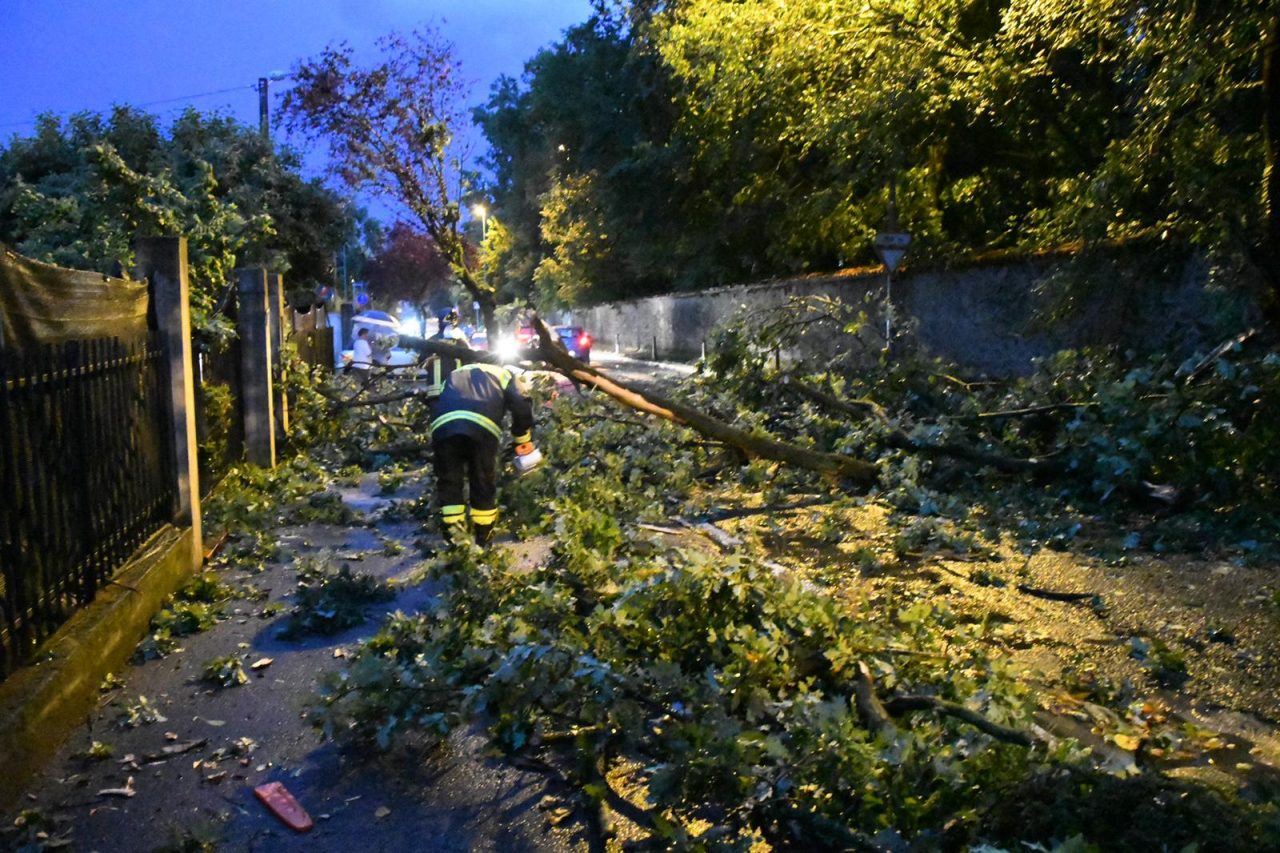 Piante cadute, paura a Biassono e Triuggio