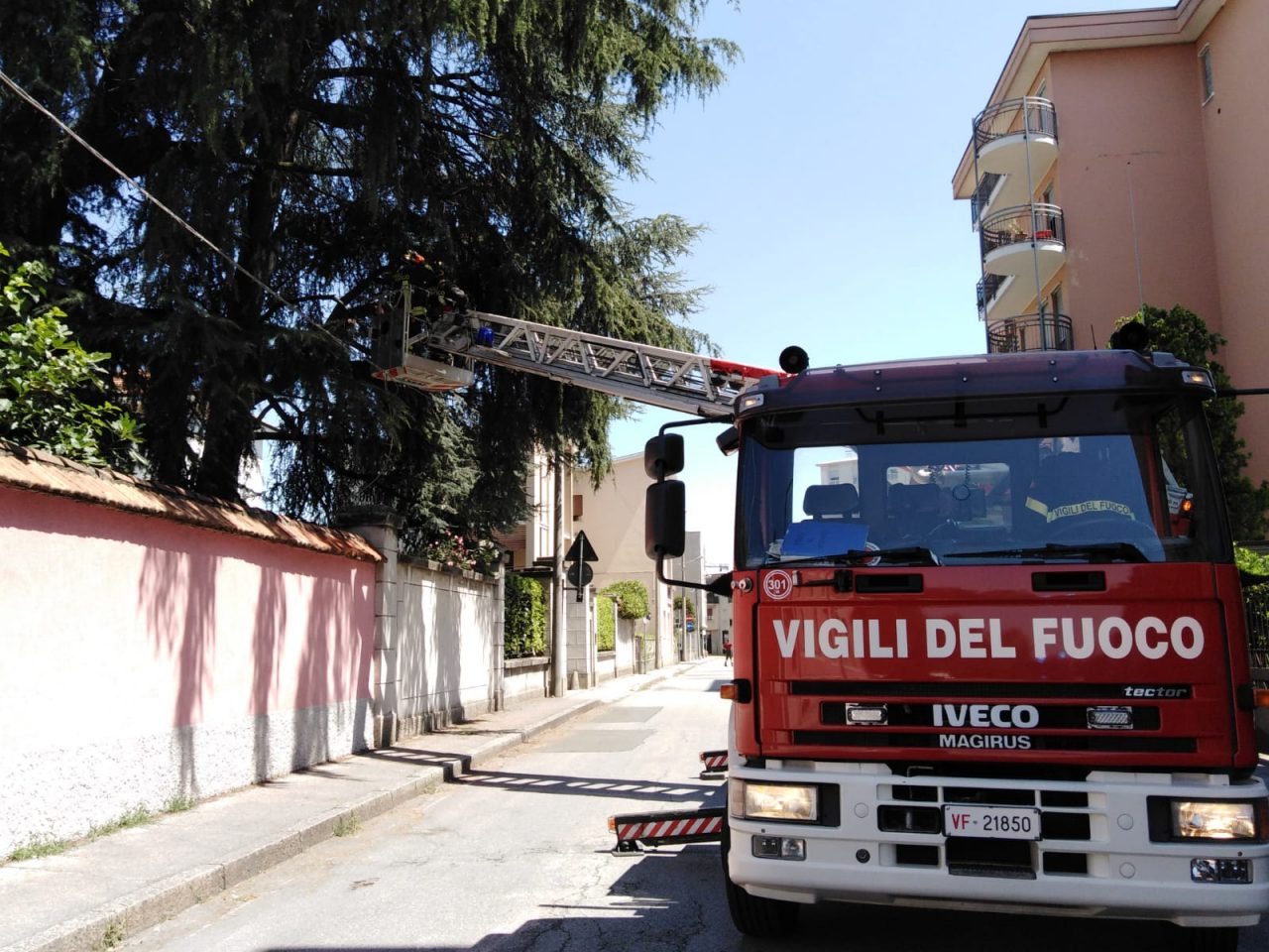Grosso ramo pericolante, intervento dei Vigili del fuoco – FOTO