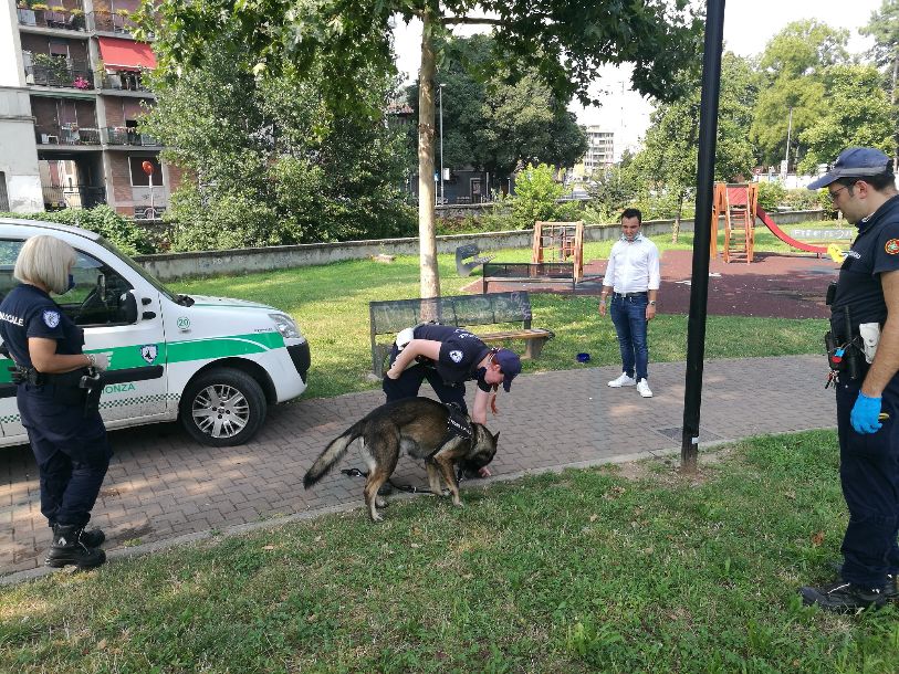 Droga e degrado, blitz della Polizia locale