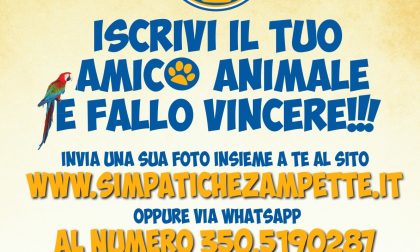 Al via le Simpatiche Zampette, iscrivete i vostri "amici animali"