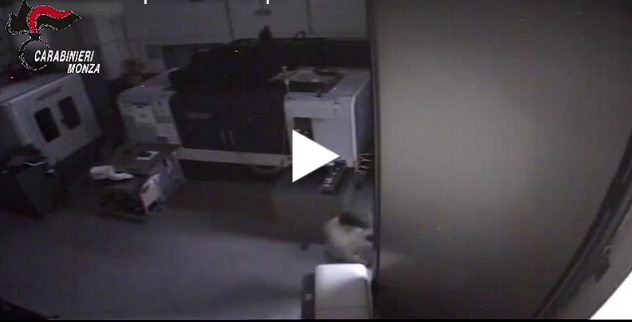 Quattro furti in azienda in un solo giorno: fermate sei persone VIDEO