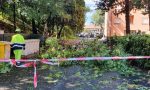 Paura in via Lecco e via Fiume, cadono alberi