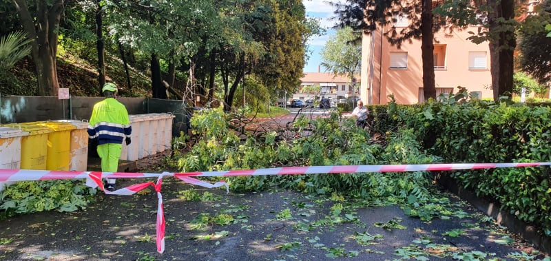 Paura in via Lecco e via Fiume, cadono alberi