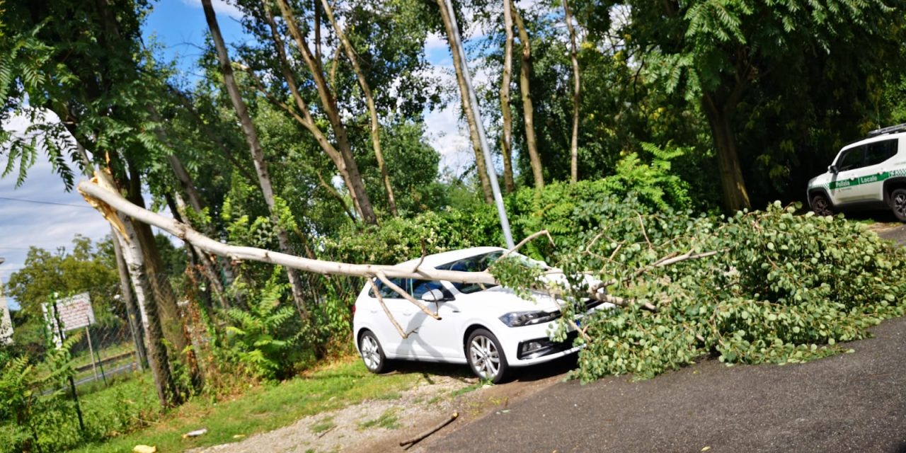 Maltempo, pianta si abbatte su un’auto a Meda