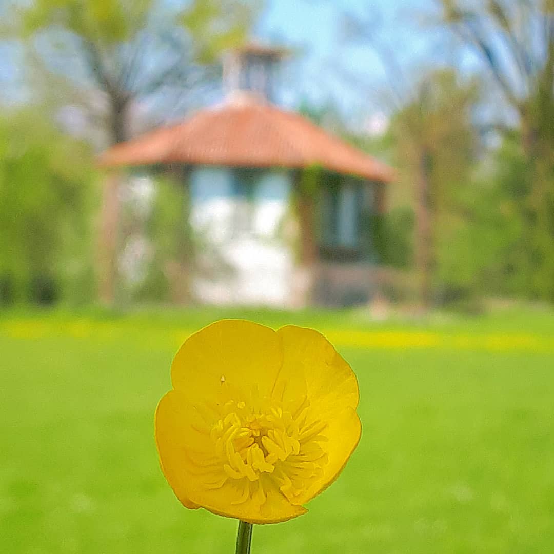 terzo posto.03_3_2019-07-07 11.19.57 2082649574673582750_fioritureinreggia