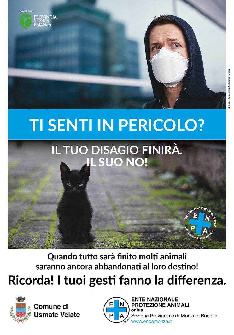 Stop all’abbandono degli animali in estate