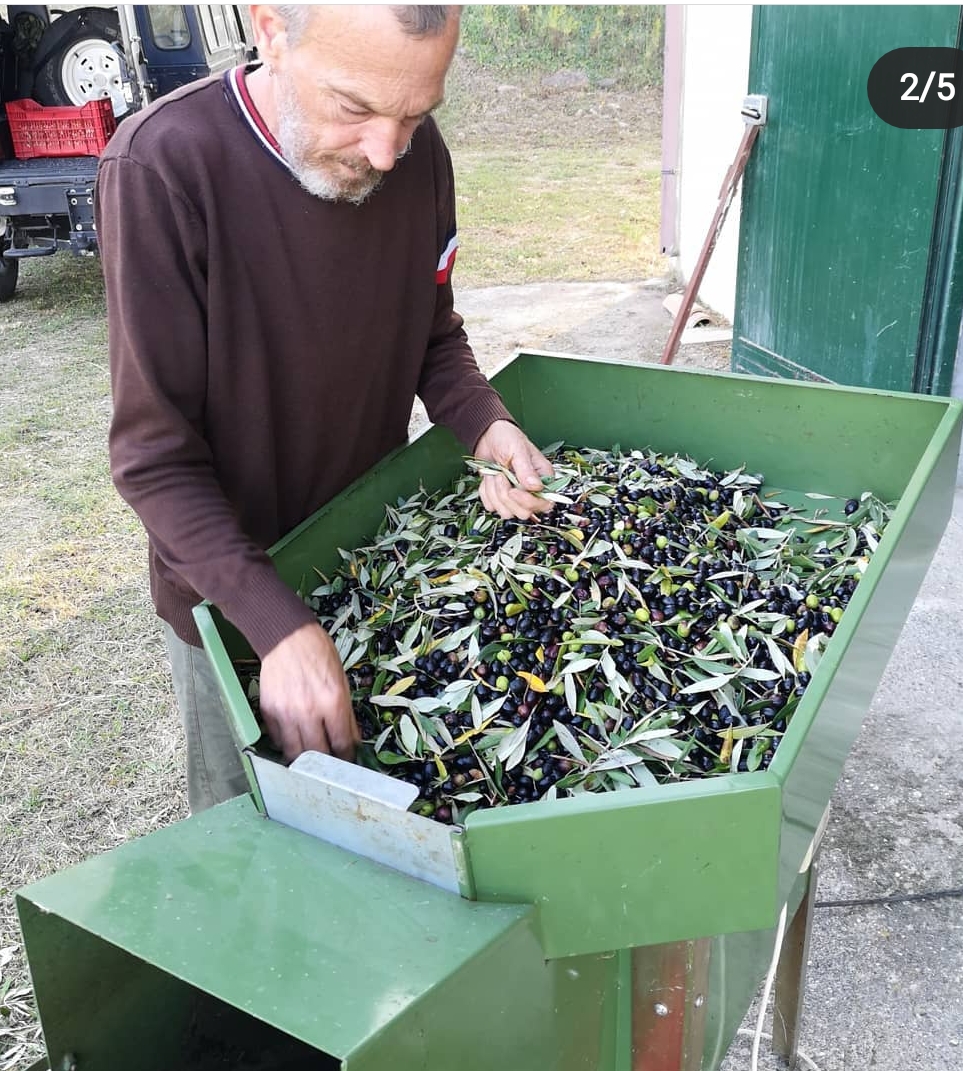 Lascia azienda di famiglia e diventa agricoltore in Toscana
